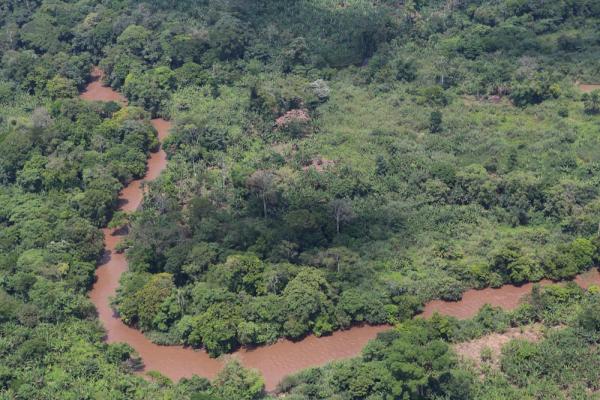 Conservation efforts by families…