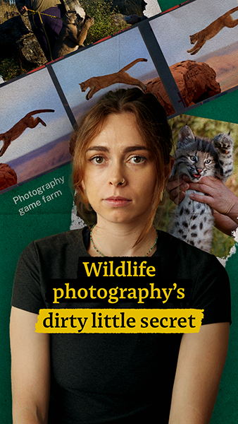 Wildlife photography’s dirty little…