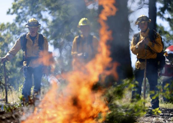 Can controlled burns reduce California’s air pollution?
