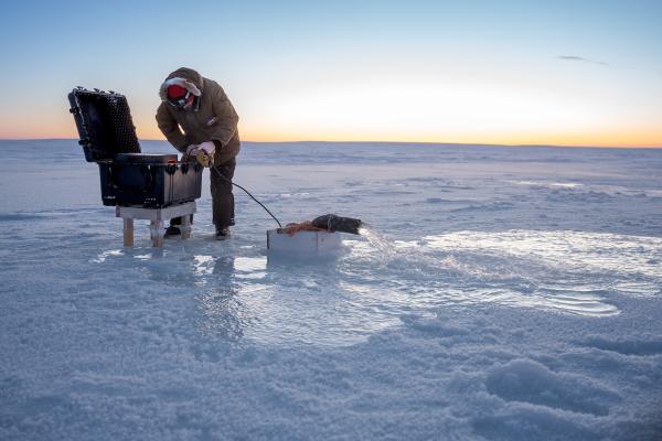 In the Canadian Arctic, an experiment&hellip;