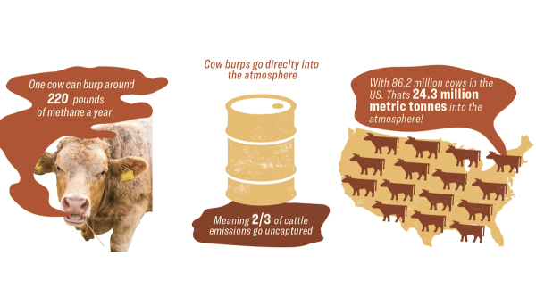 NEW REPORT: NW Natural’s Biomethane…
