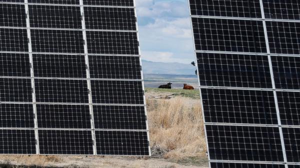 USDA abruptly cancels rural energy…