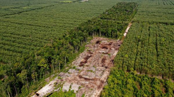 Pulp and paper giant APRIL adds major deforesters as&hellip;