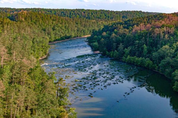 Alabama Environmental Groups Secure Rare…