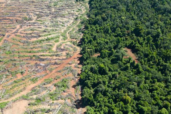 Protected areas hit hard as Mekong…