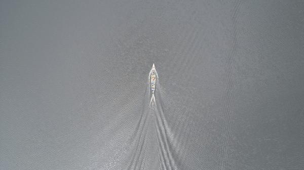 Fishers denounce plummeting fish stocks…