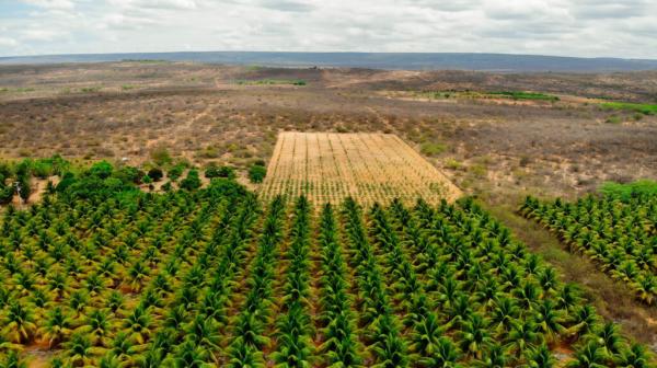 In Brazil’s Semi-Arid Region, Small…