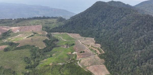 Indonesian communities try to reclaim&hellip;