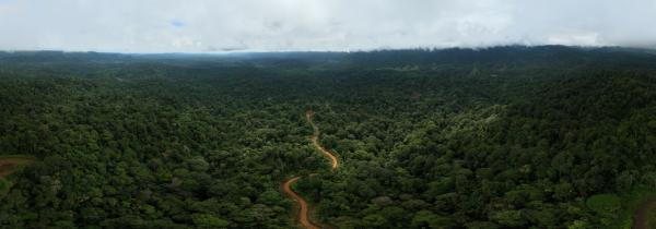 In Ecuador’s Chocó, roads shape the&hellip;