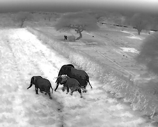 Thermal drones deployed in Kenya’s&hellip;