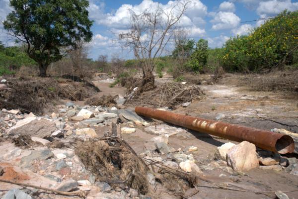 Chinese Mining Firm Downplays Toxic…