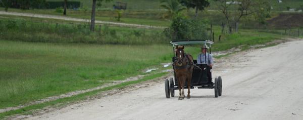 Mennonites from Belize spark…