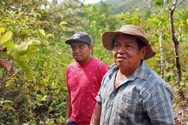 photo of Indigenous leadership and science revive Panama’s degraded lands image