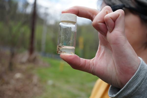 Scientists test aquatic organisms for&hellip;