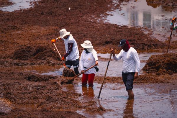 Gases tóxicos y quemaduras: los riesgos&hellip;
