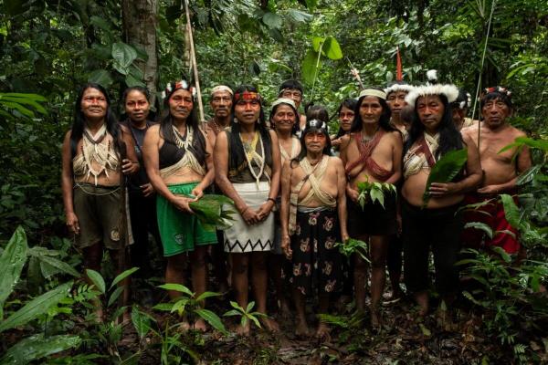 photo of Protecting Indigenous Amazon lands may also protect public health, study says image