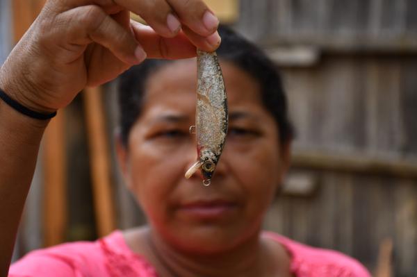 Damming the Xingu