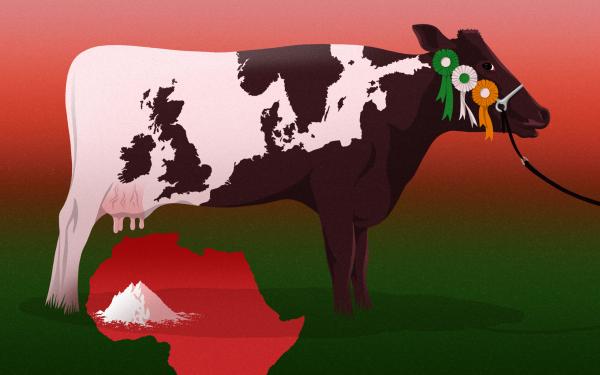 How Ireland’s ‘Mediocre’ Milk…