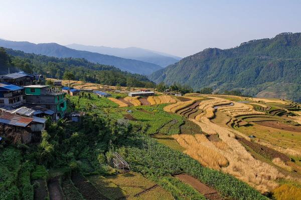 Nepal’s community forests sit on&hellip;