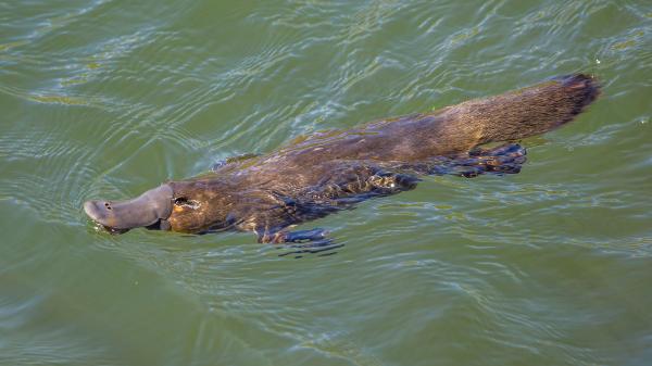 Are government subsidies undermining&hellip;