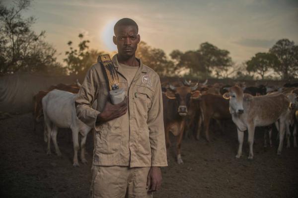 Pastoralists in a Changing World