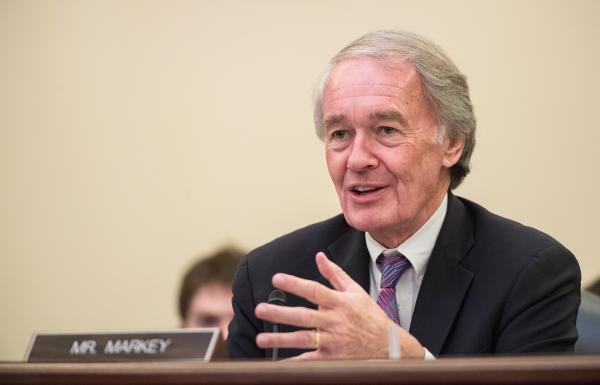 Progressives Are Backing These Four…