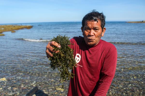 Philippine fishing and Indigenous…