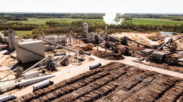 The hidden toll of wood pellet power