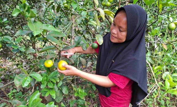 How women farmers are helping elephants&hellip;