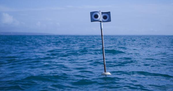 Googly-eyed buoys and kites help keep&hellip;