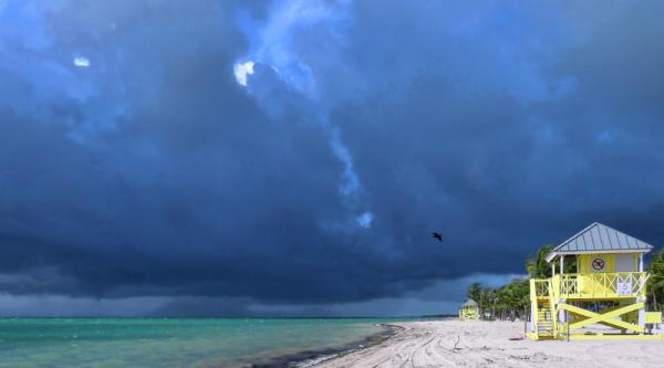 Climate Change Is Causing The FL Real…