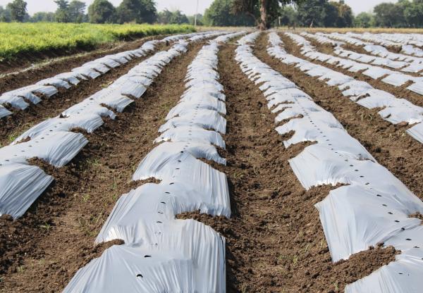 Microplastics are creating tiny&hellip;