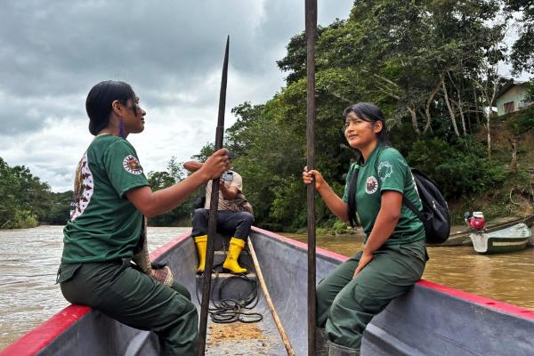 Indigenous guardians successfully keep…