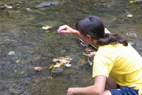 PFAS ‘forever’ chemicals found in…