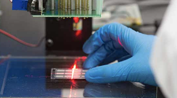 US Patent & Trademark Office Rejects&hellip;