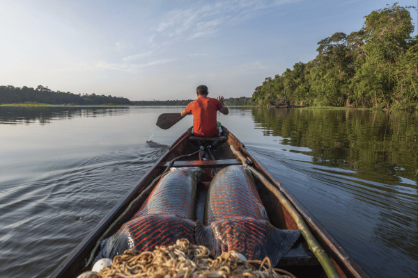 In the Brazilian Amazon, community&hellip;