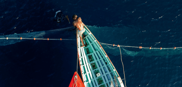 Embrace ‘blue’ foods as a climate…