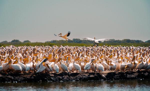 More than 380 coastal World Heritage&hellip;