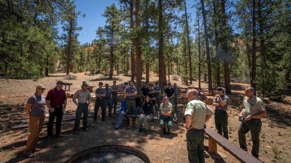 Forest Service overhaul sows confusion&hellip;