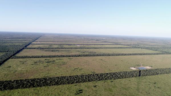 Paraguay expanded a reserve in the Gran&hellip;
