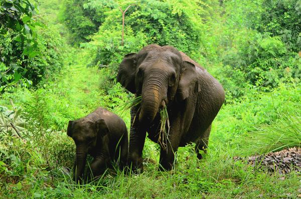 Women farmers in Sumatra find a gentler&hellip;