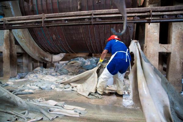 European Commission excludes leather from landmark…