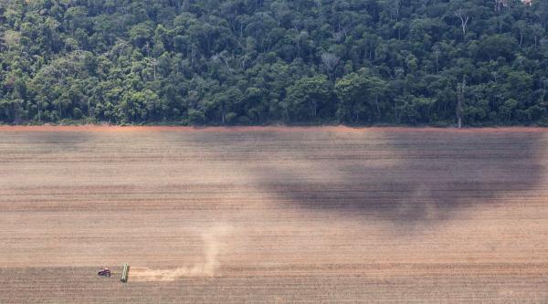 photo of Soy giants drop Amazon no-deforestation pledge as subsidies come under threat image