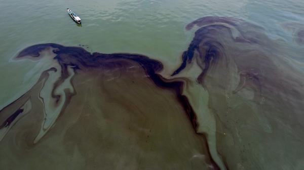 Satellite data reveal massive scale of&hellip;