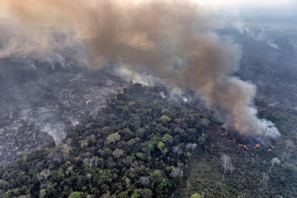 Brazil’s race to approve the end of…