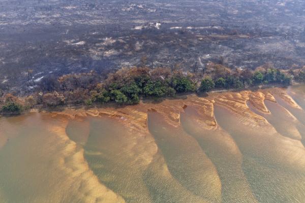 Will Brazil’s President Lula wake up to the climate crisis? (commentary)