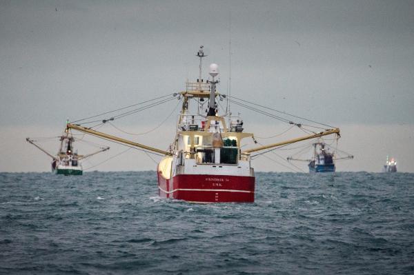 European bottom trawling costs billions&hellip;