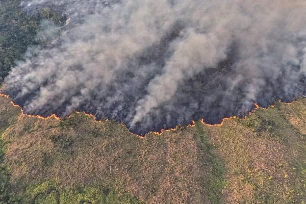 Global goal of zero deforestation by…