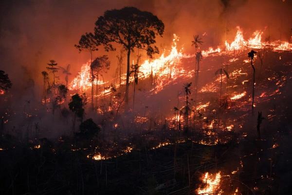 In Brazil, invaders set fires in…