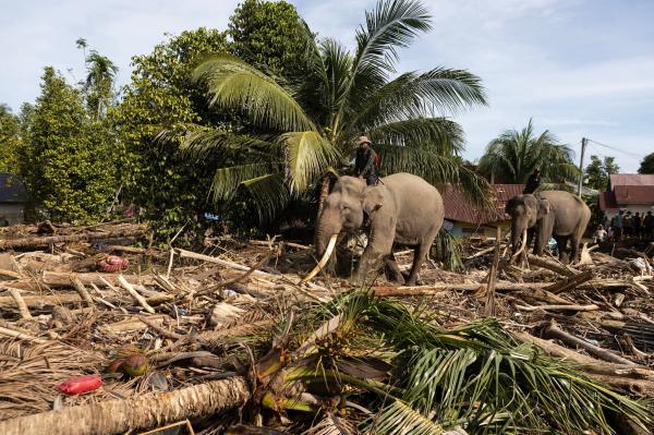 A catastrophe that might offer a glimpse of hope for&hellip;